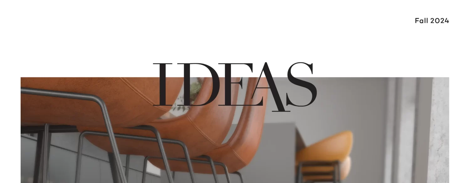 Magazine: Ideas